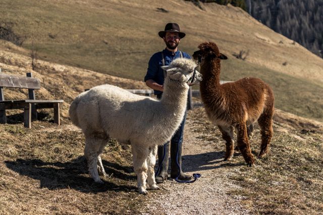 Immagine: Dolomites Farm